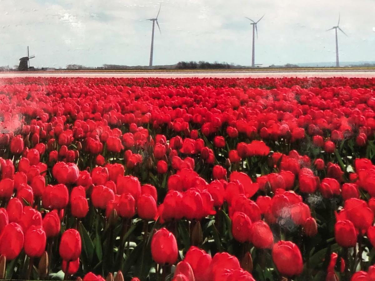Vakantiehuis Aan Zee Sint Maartensvlotbrug Luaran gambar